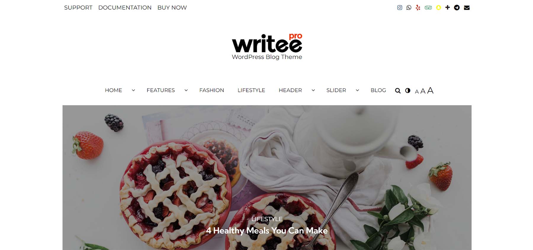 Writee and Writee Pro WordPress Bloggers' Theme