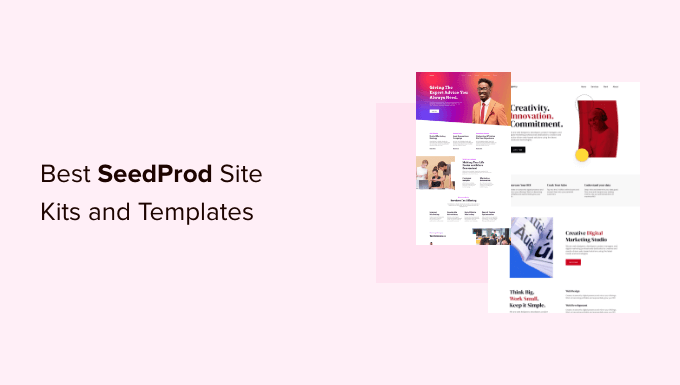 Best SeedProd Templates and Site Kits