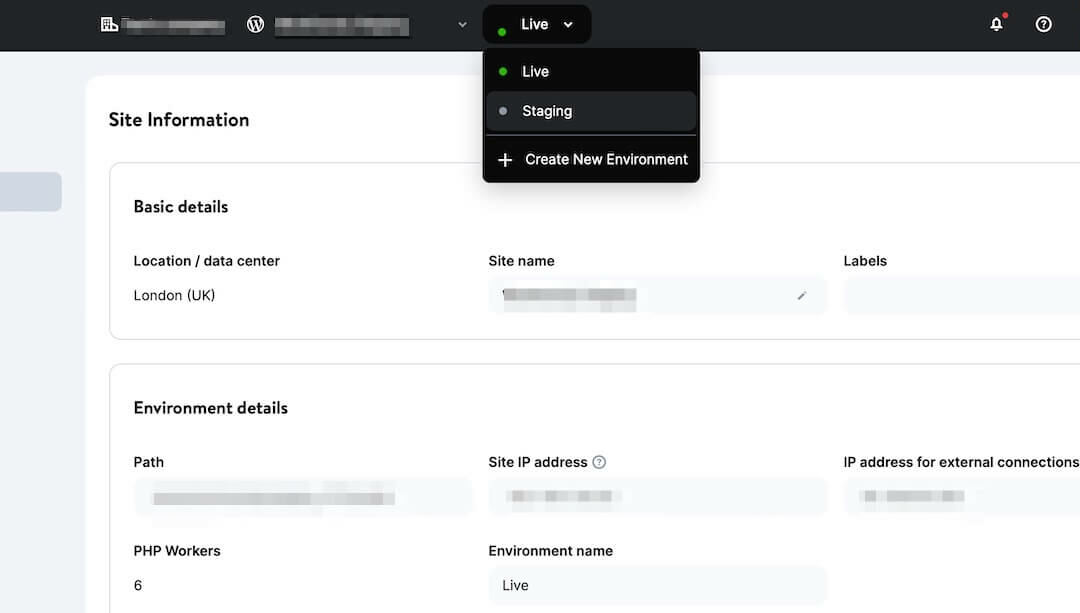 How To Check Your WordPress Website for Capability, Pace, and Safety