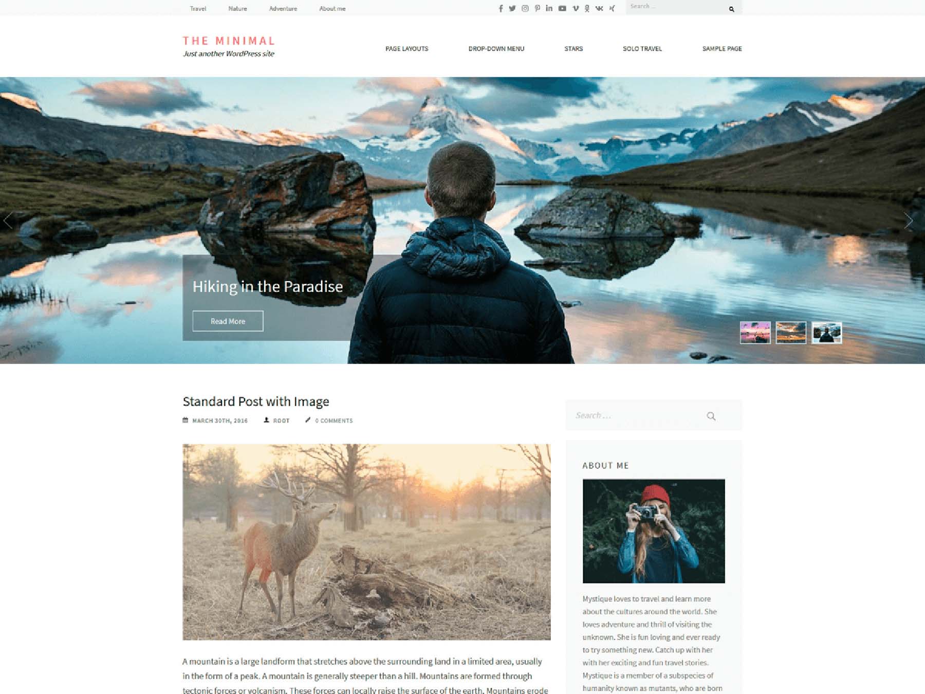 Minimal Pro, a minimalist WordPress theme