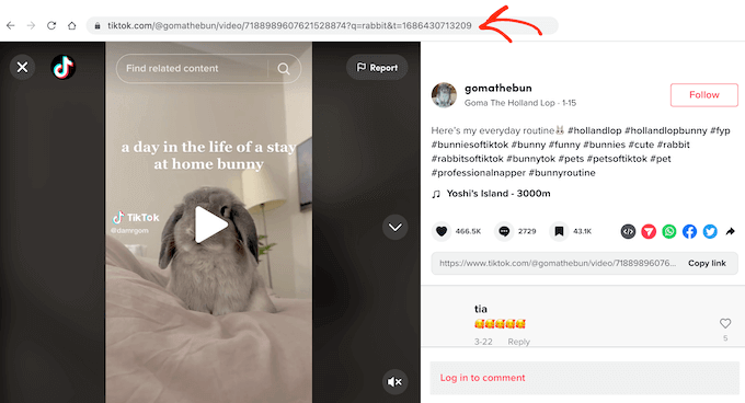 Adding a TikTok video to a page or post using the WordPress block editor