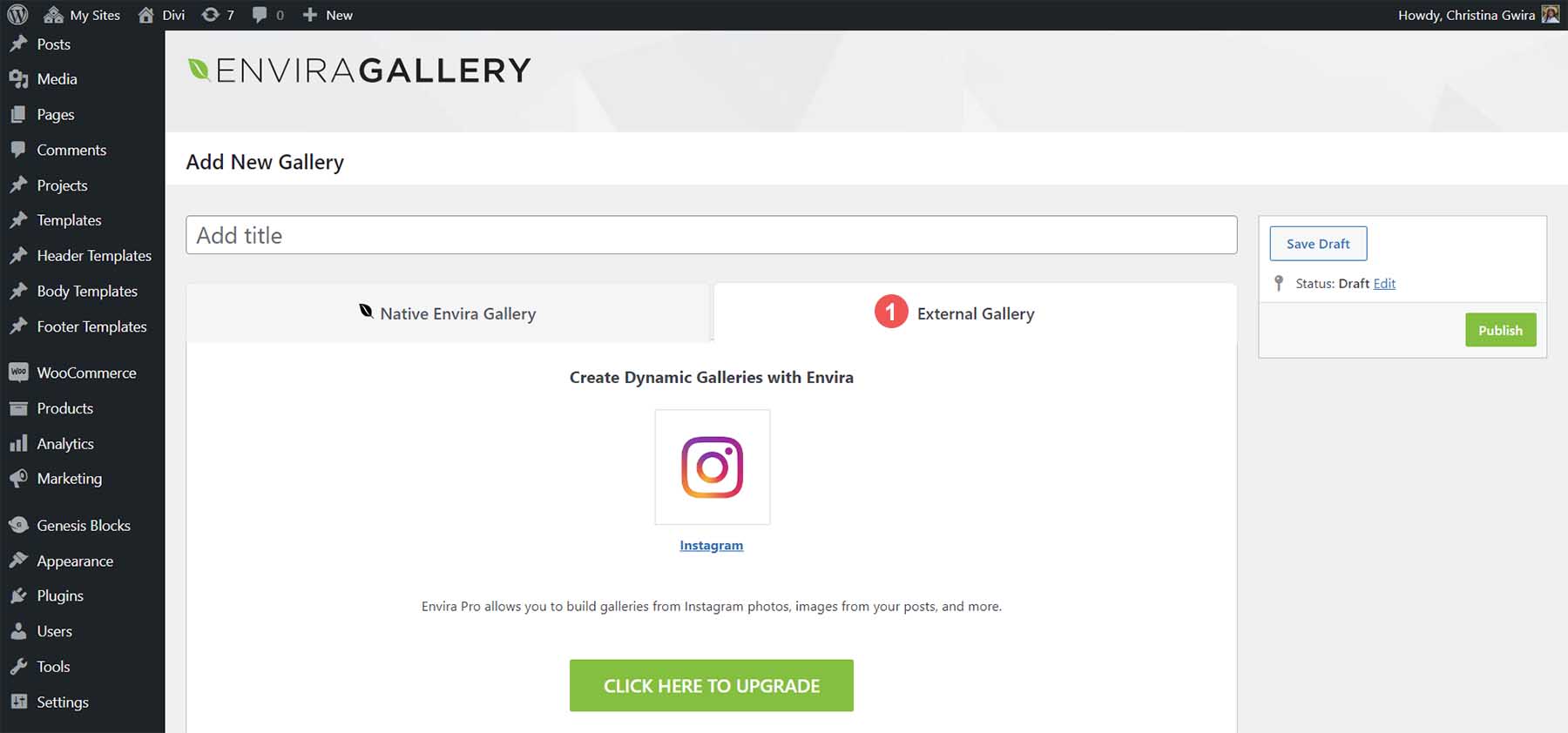 Envira Gallery and Instagram integration