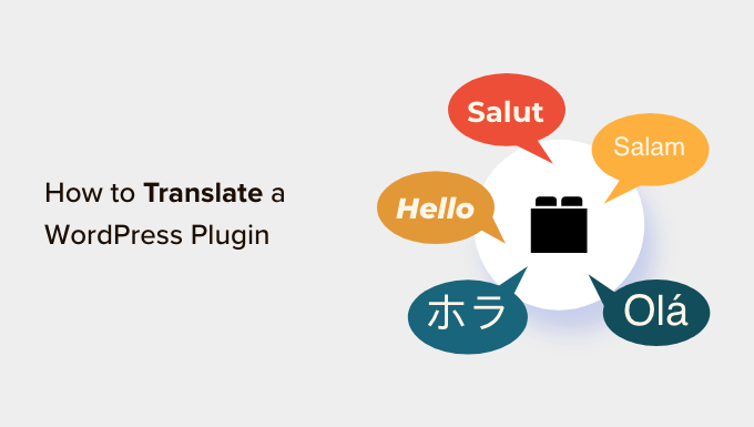 Translate a WordPress plugin in your language