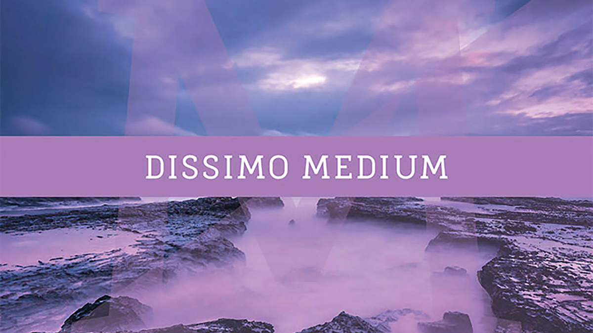 Dissimo Medium