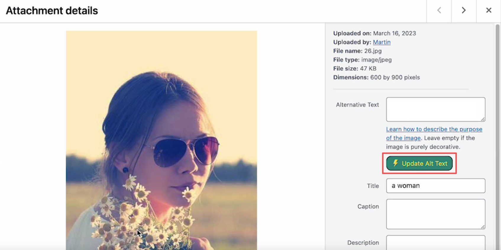 Update Alt Text with alttext.ai WP plugin