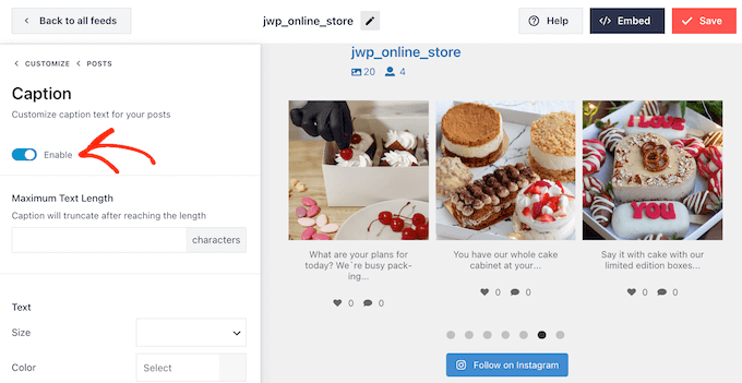 Showing Instagram captions on your WordPress website