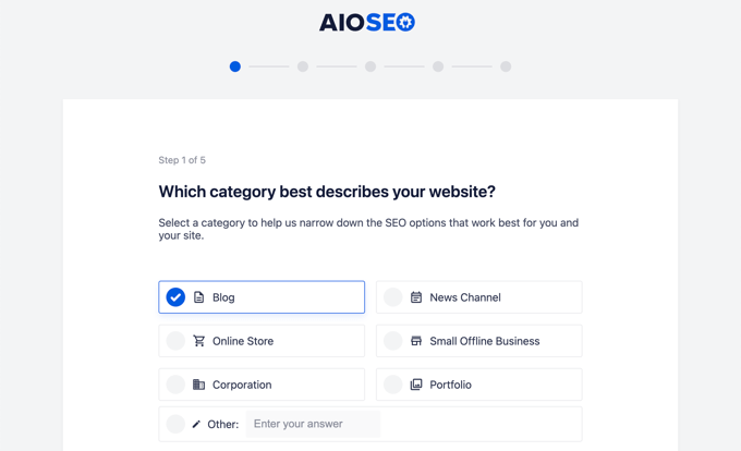 AIOSEO set up wizard - website category