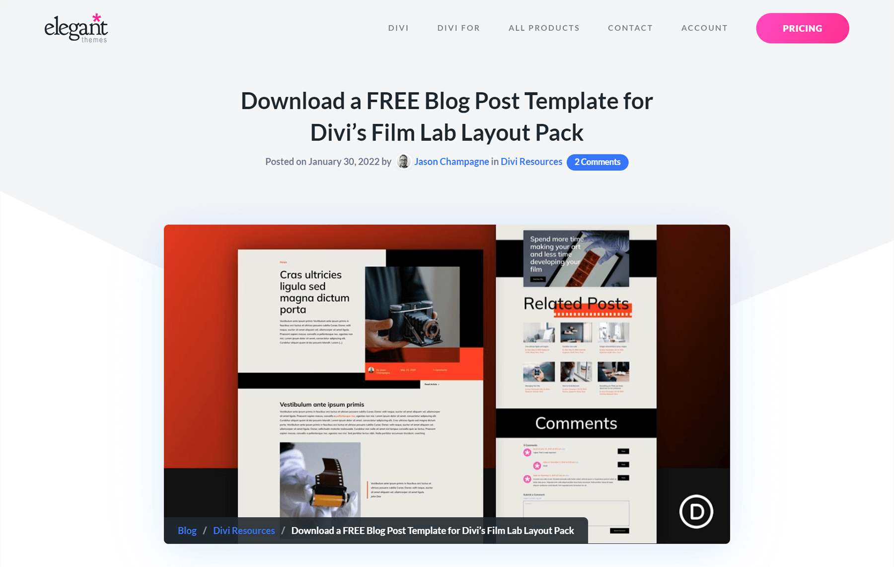 Download the Film Lab Blog Post Template from the Divi blog