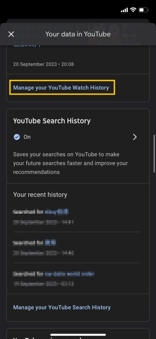 Manage YouTube Watch History section