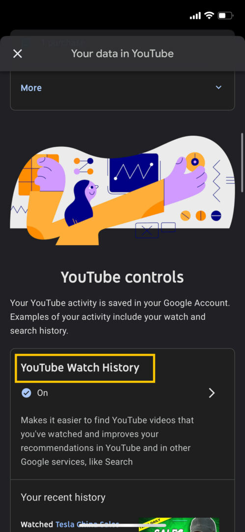 YouTube Watch History section