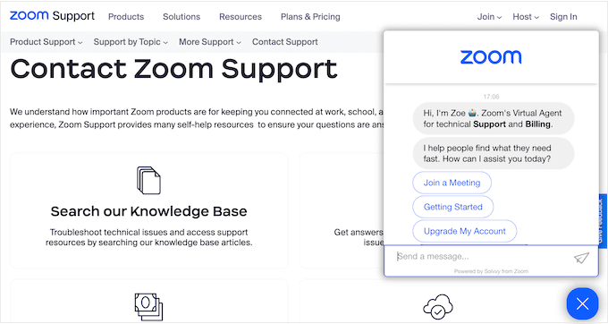 Professional support options: Zoom vs Google Meet