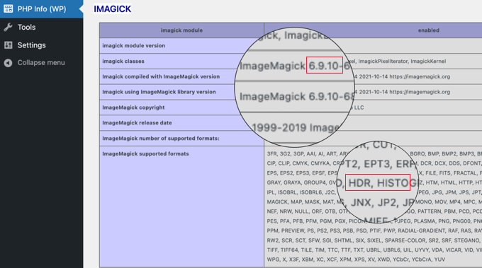 The PHP Info Plugin