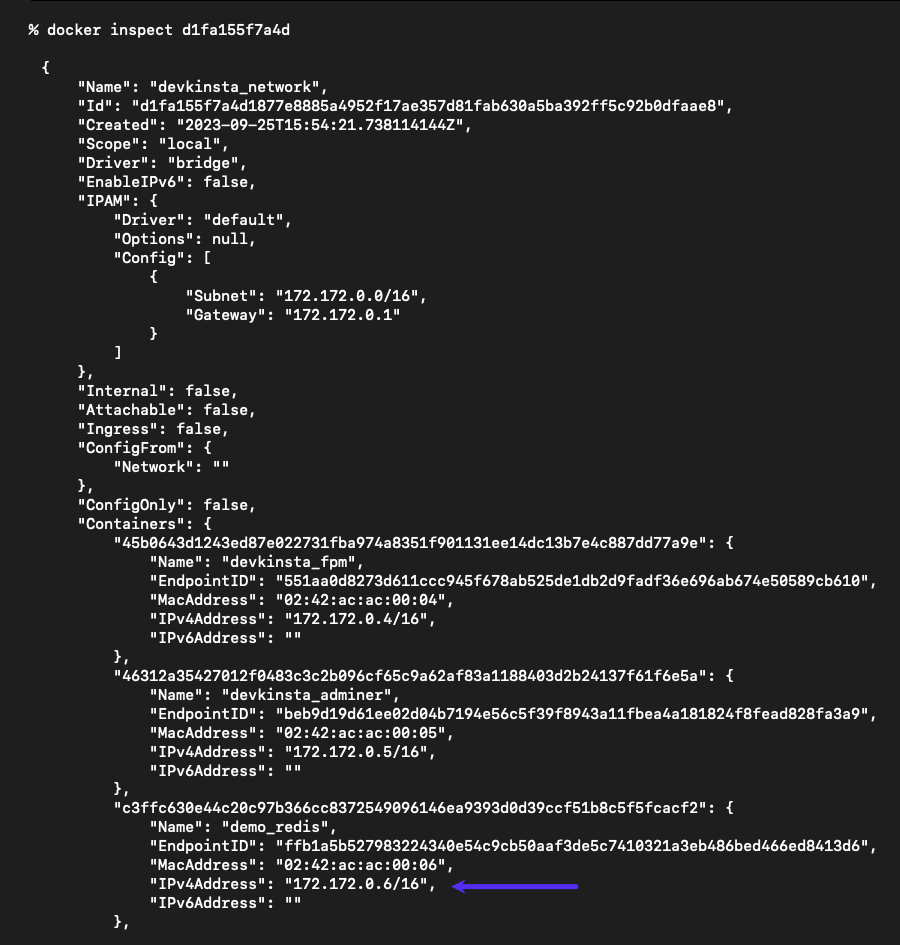 Screenshot: Output of the docker inspect command.