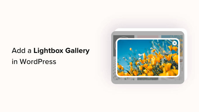 Add a Gallery in WordPress with a Lightbox Effect