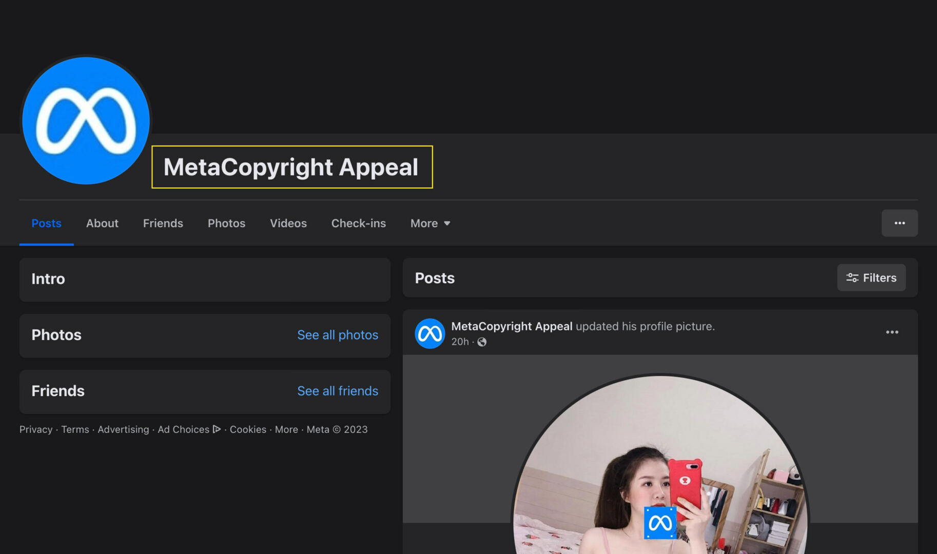 Fake Meta Copyright Appeal Profile