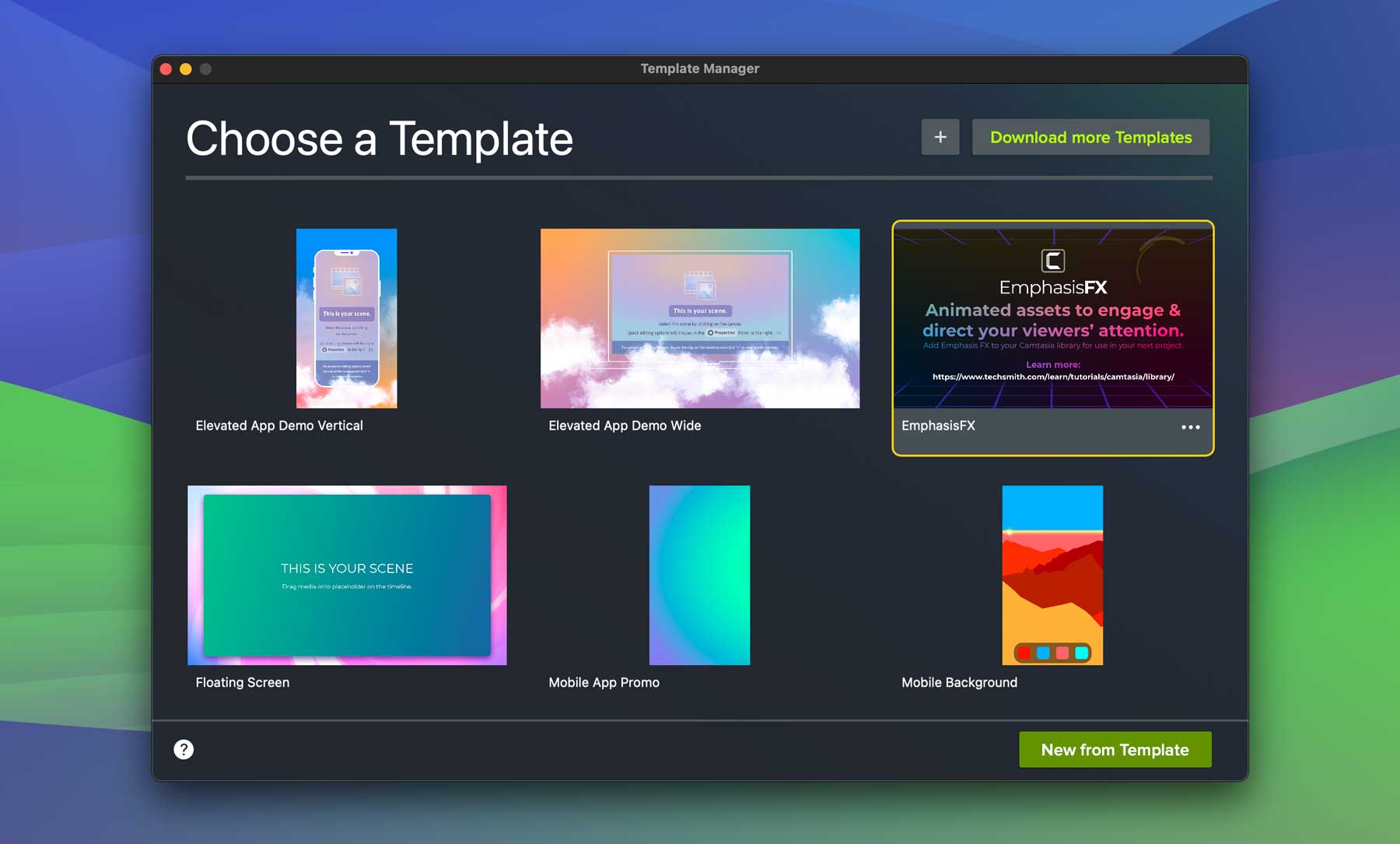 Camtasia templates