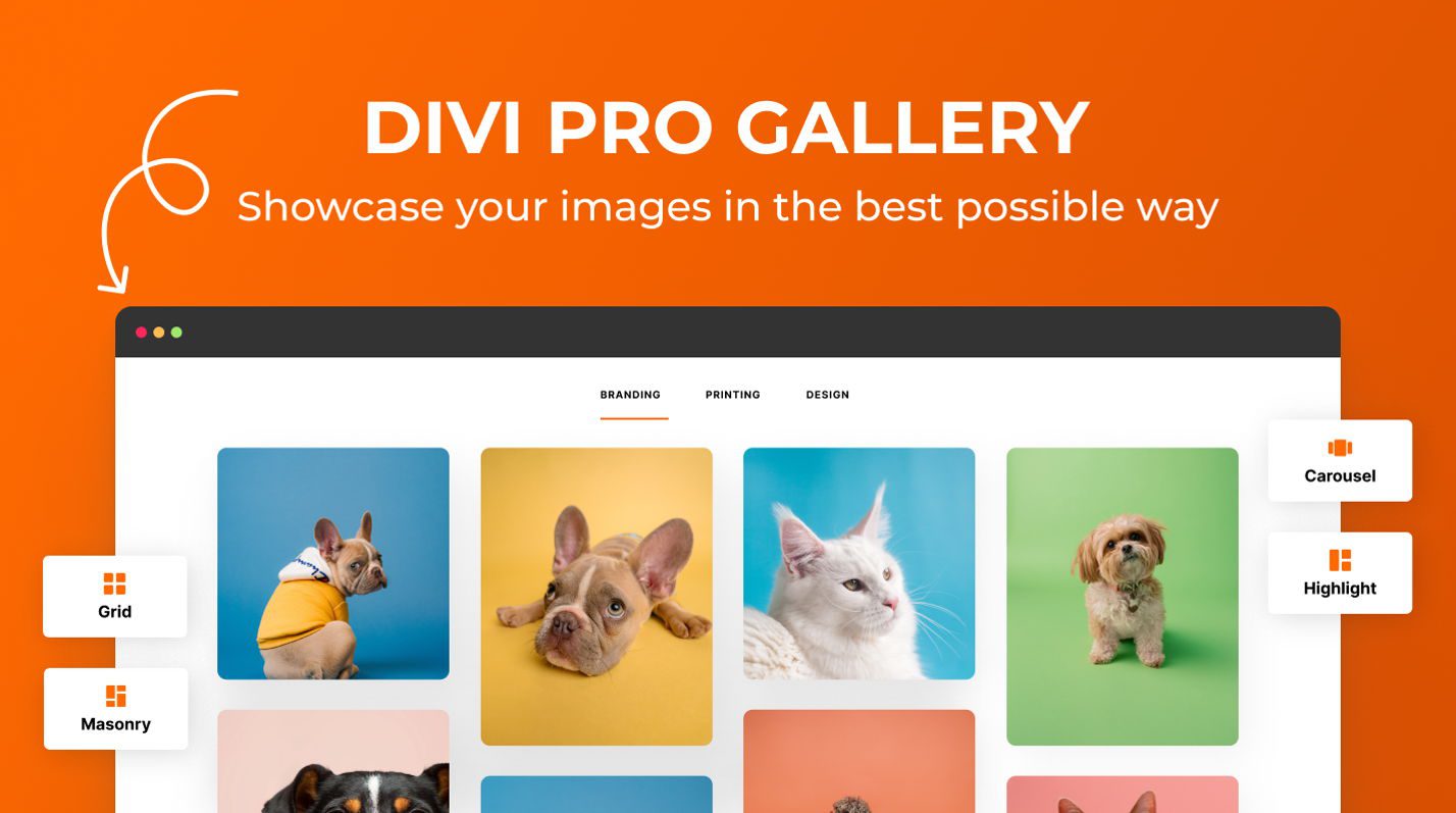 Divi Pro Gallery