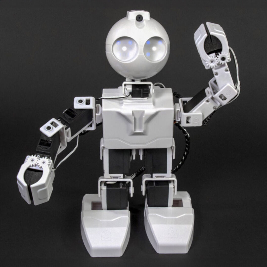 JD Humanoid Robot