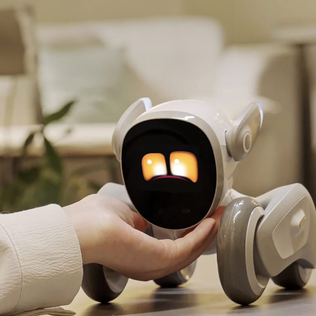 Loona Smart Robot