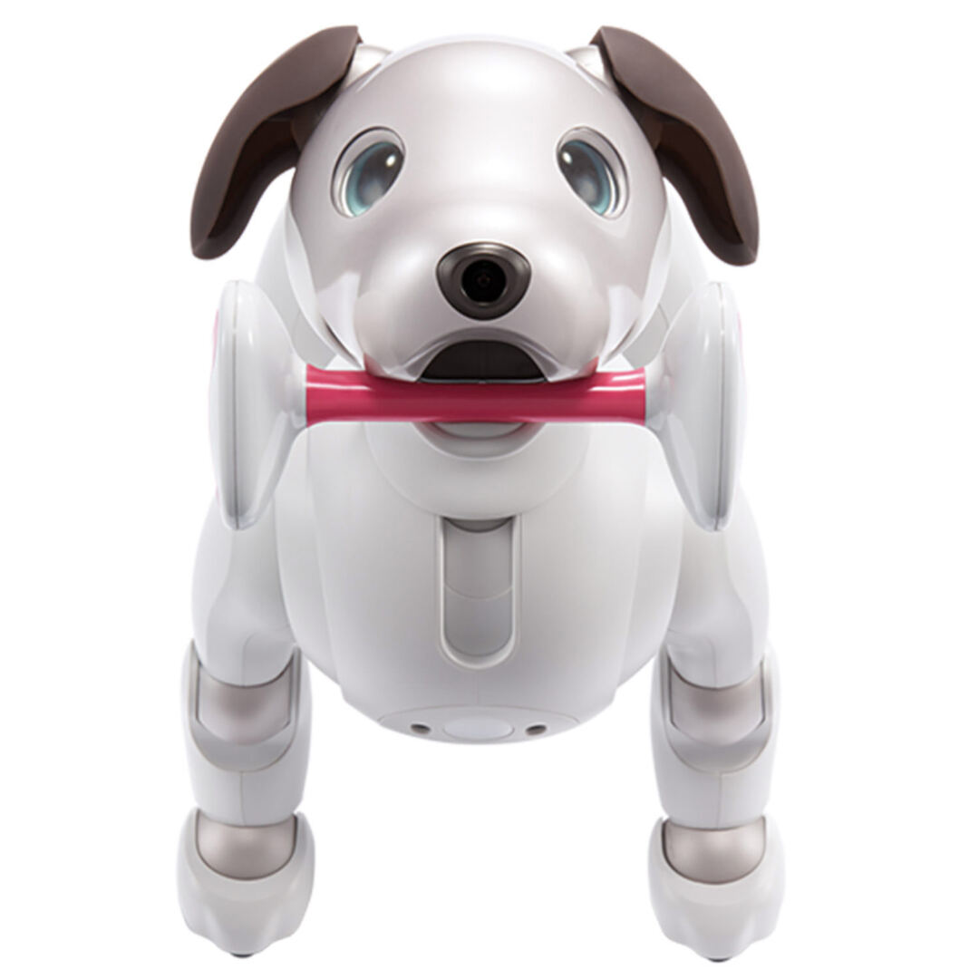 Sony aibo Robot