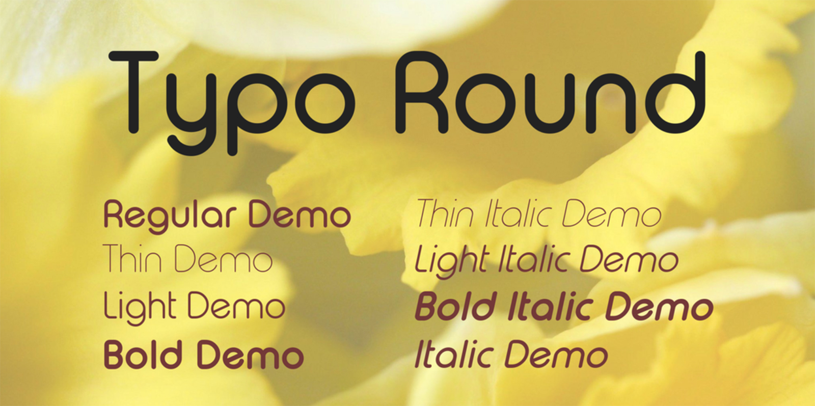 Typo Round font showcase