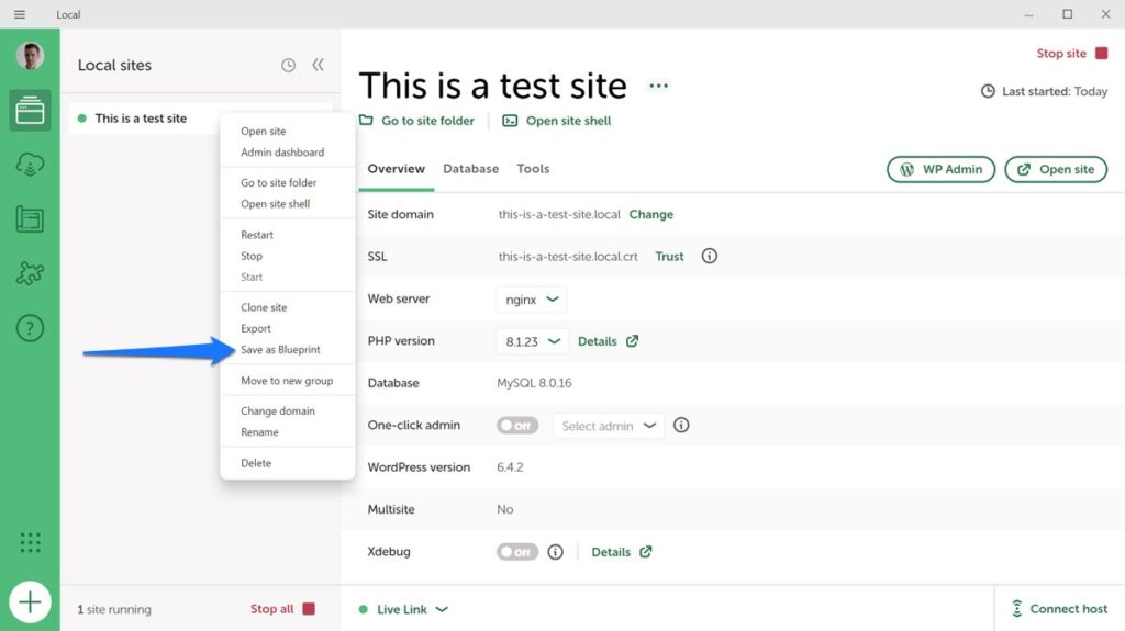 local save site as blueprint