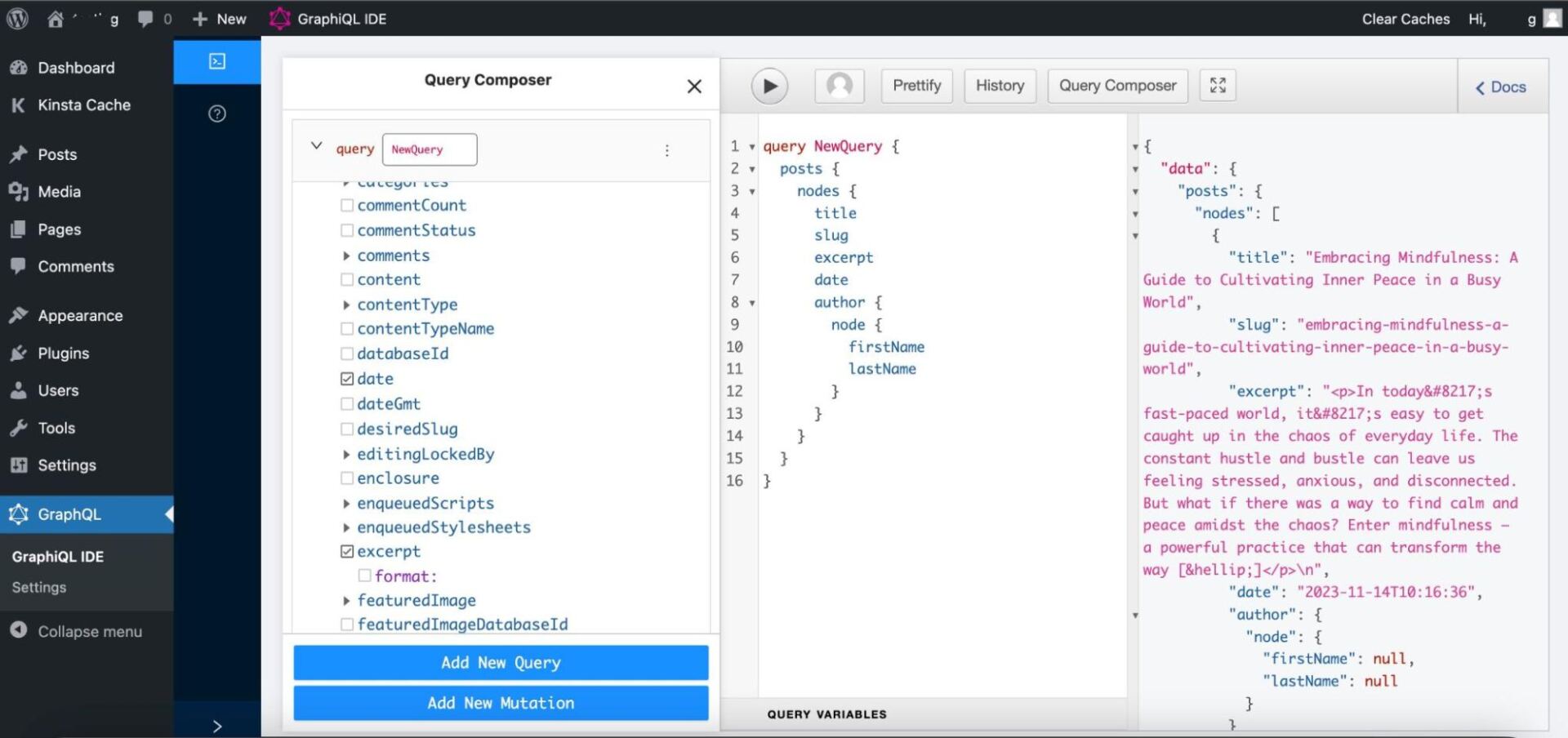 Fetch WordPress Posts data with WPGraphQL