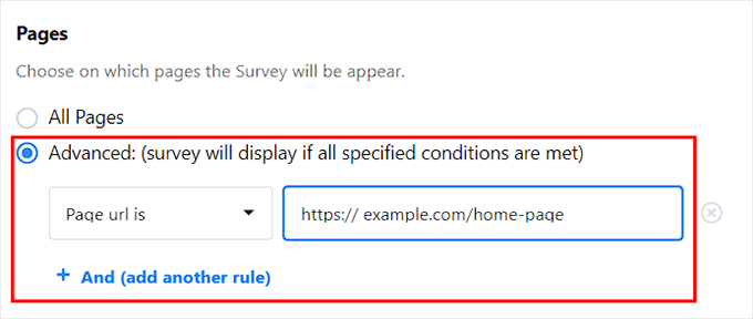 Add conditional logic for prompt display