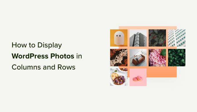 How to display WordPress photos in columns and rows