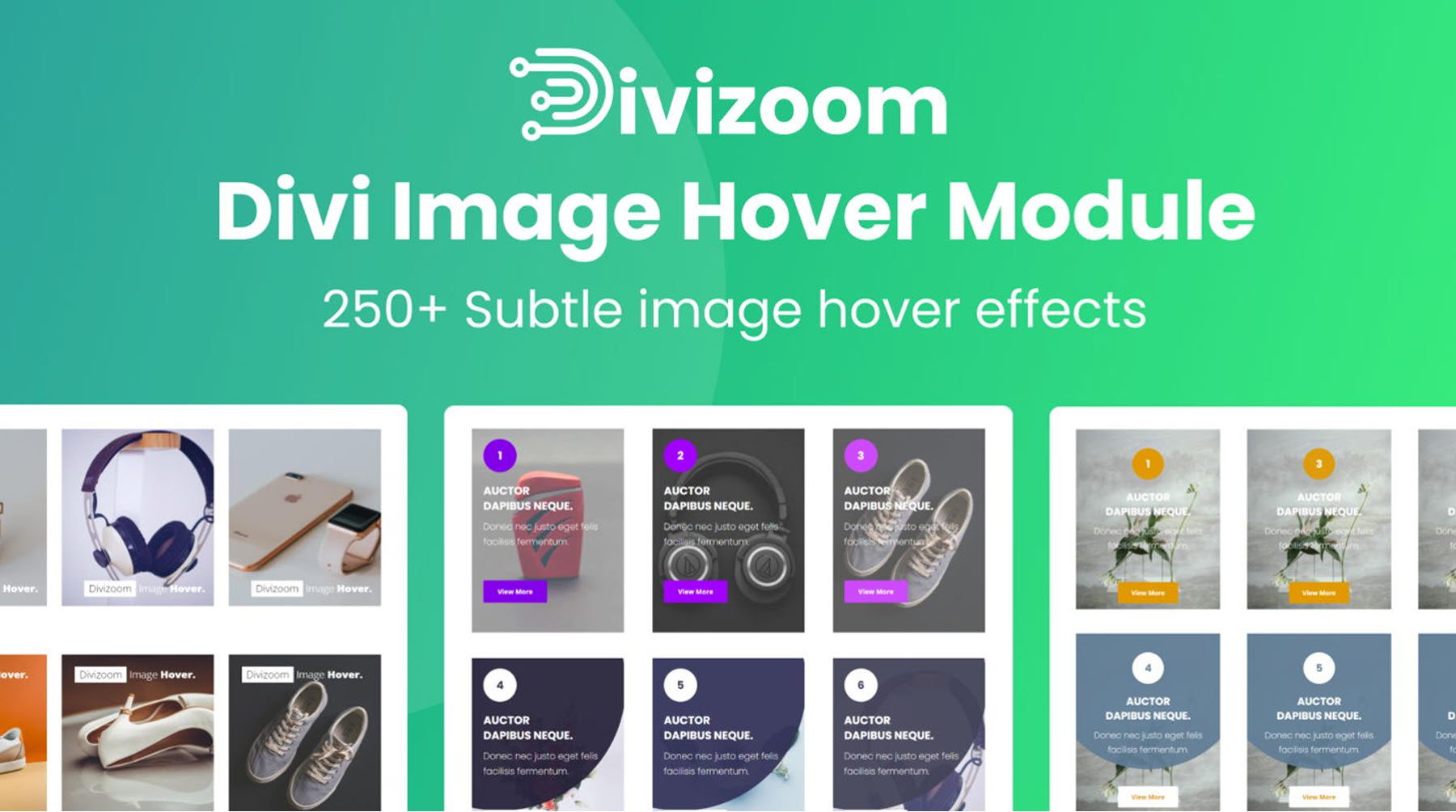 Divi Image Hover