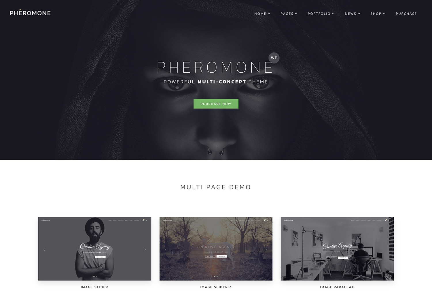 Pheromone WordPress Theme