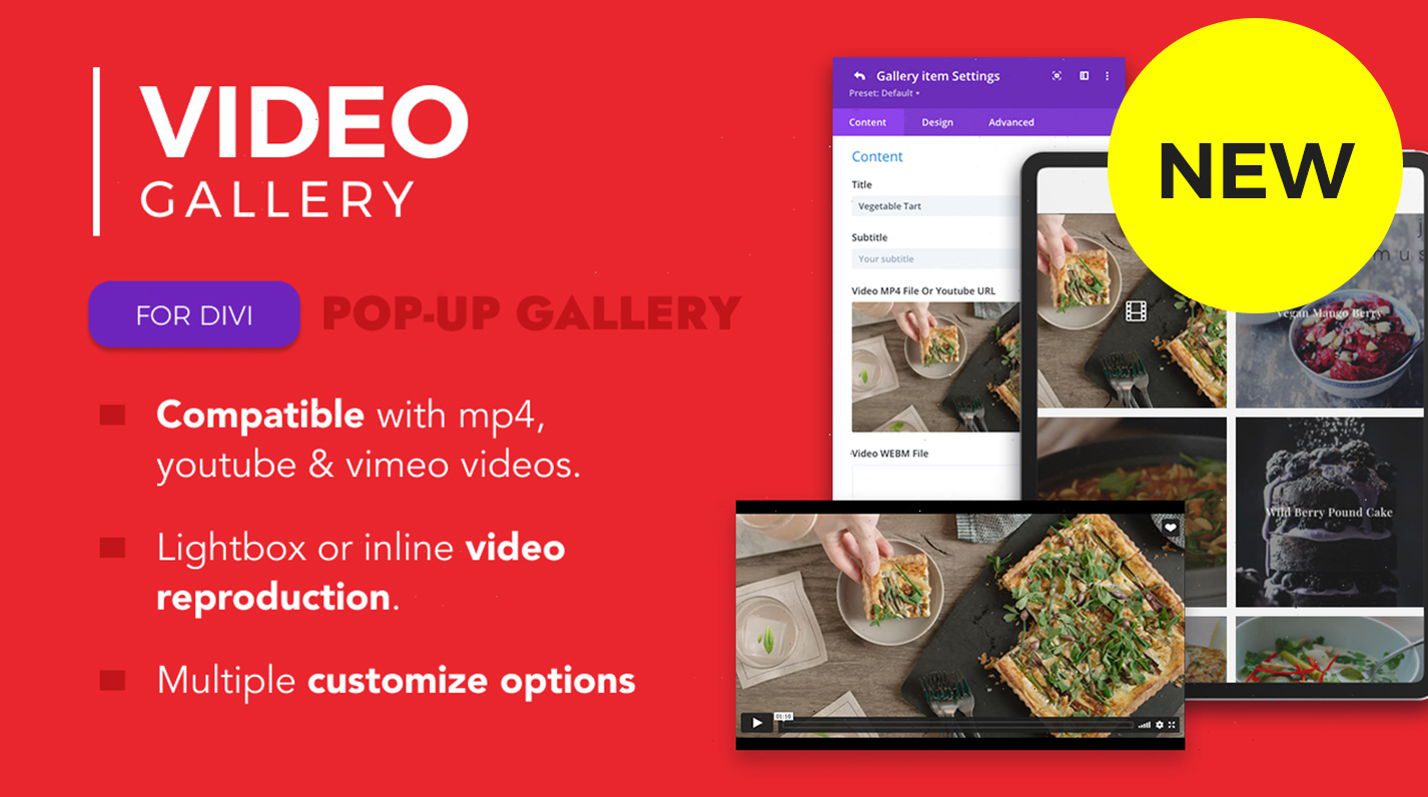 Best Divi Gallery Plugins - Divi Video Gallery section featured image