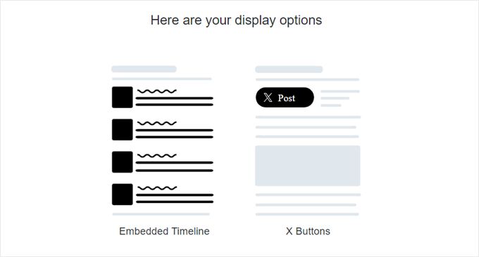 Twitter Publish's display options