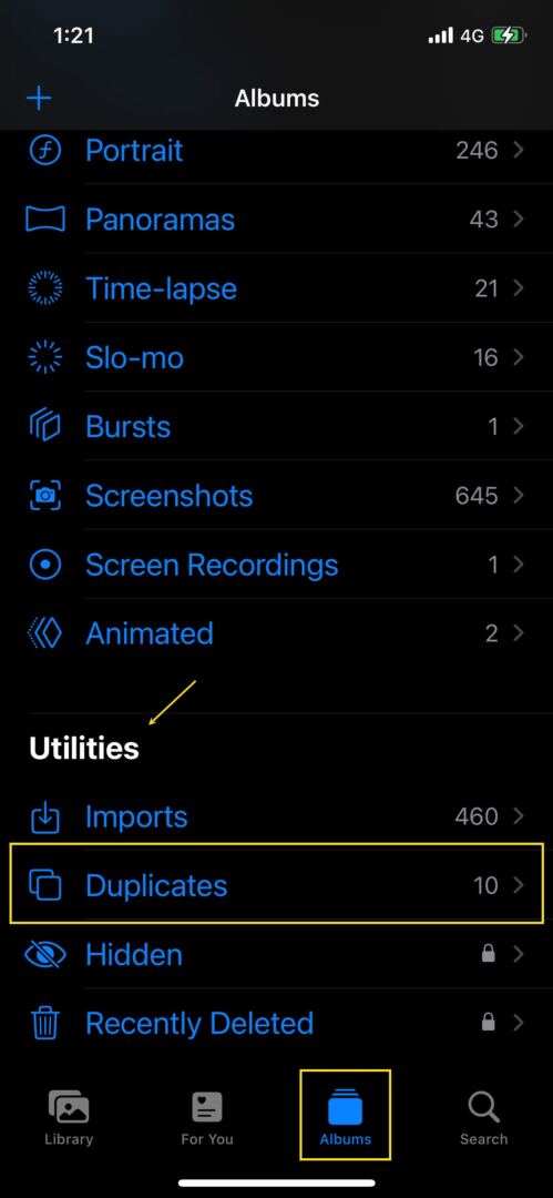 iOS Utilities Duplicates Option