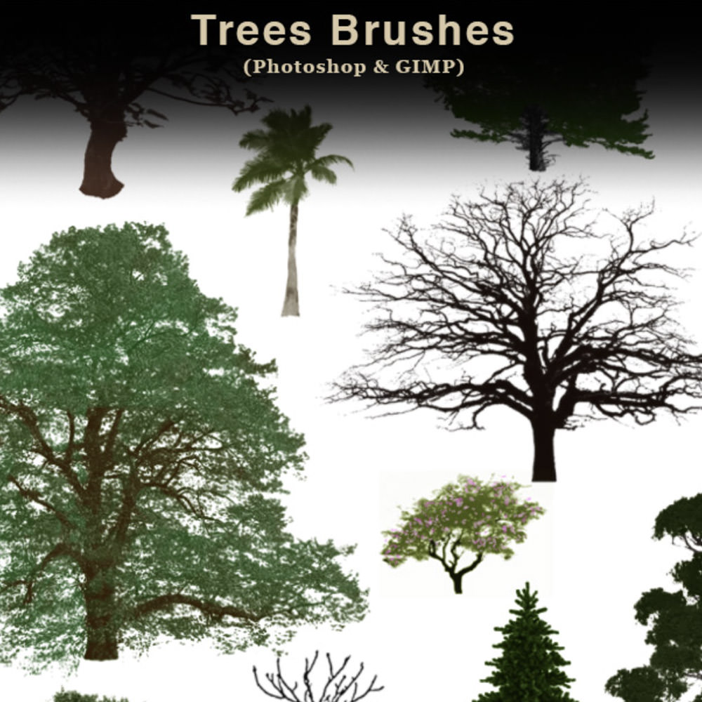 Trees Photoshop Brushes