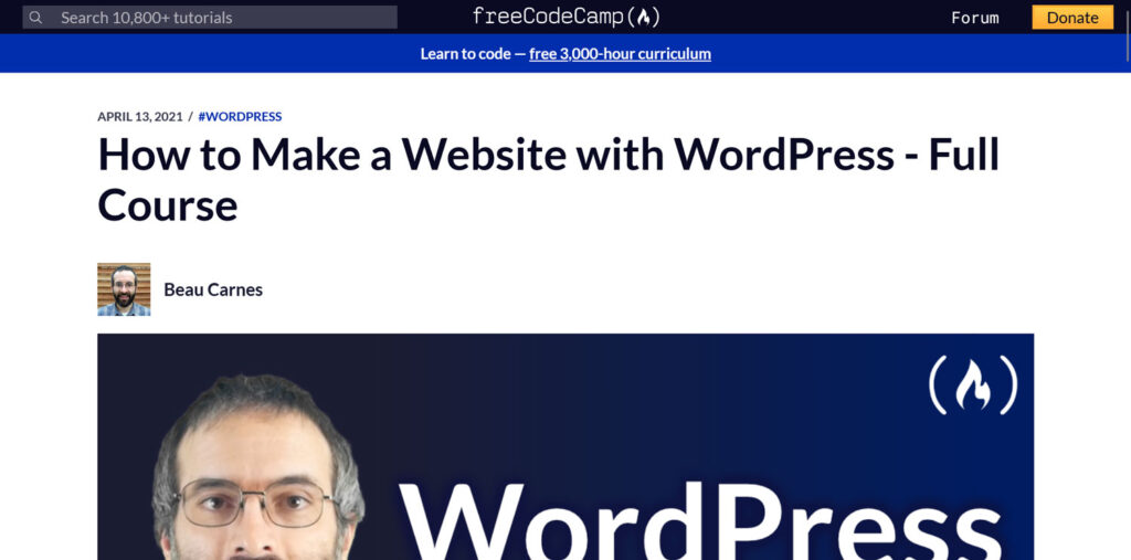 freecodecamp wordpress beginner training class