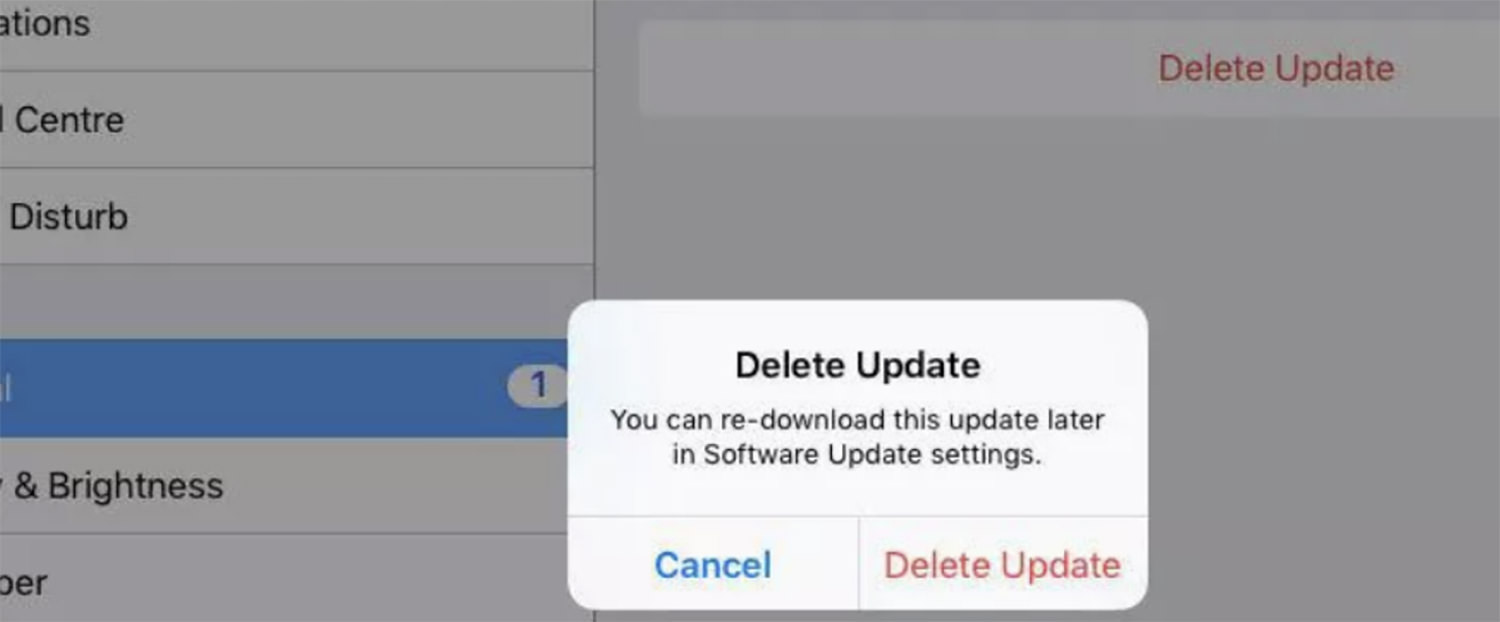 Confirmation step for update deletion