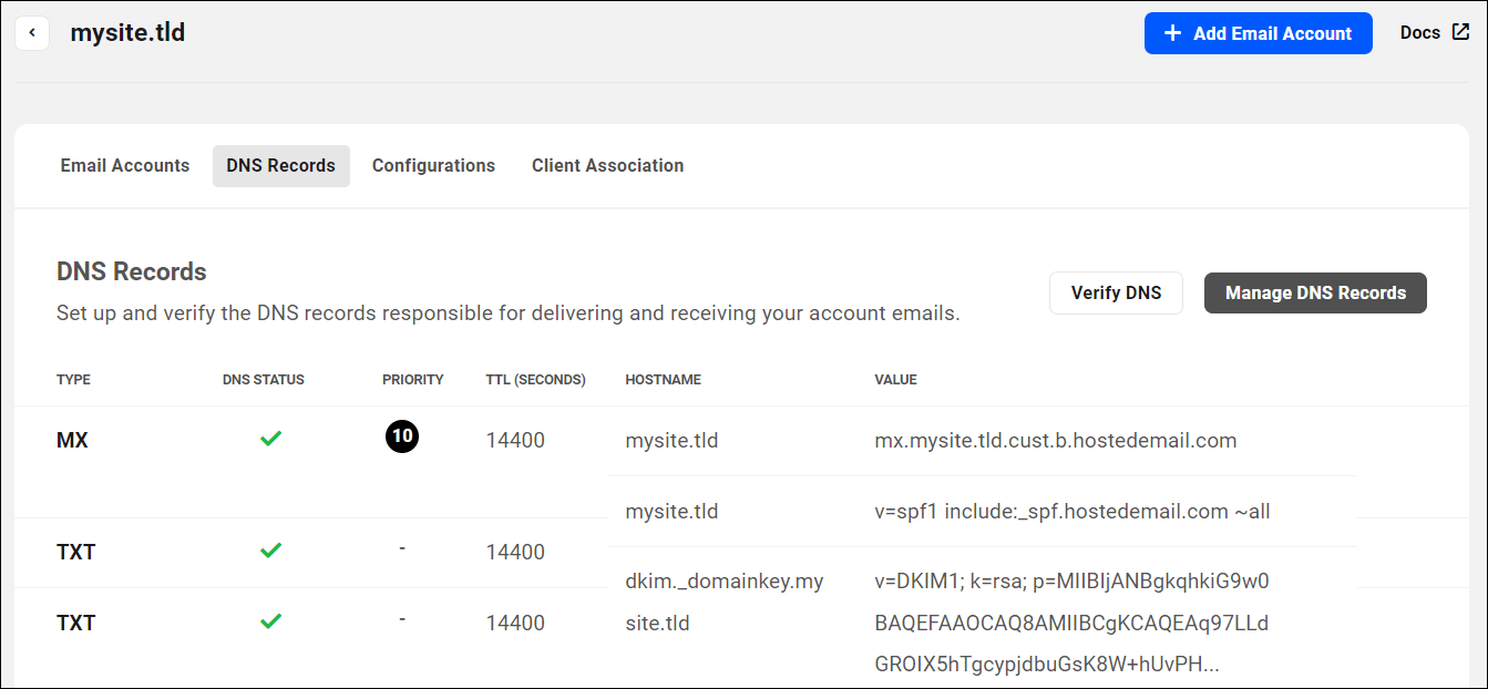 DNS Records screen showing green ticks in DNS Status for all records.