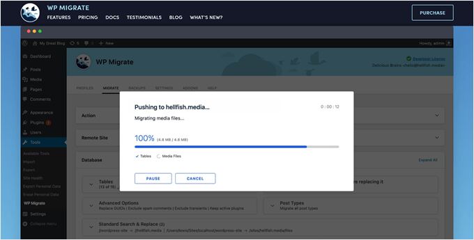 The push-and-pull migration feature of WP Migrate