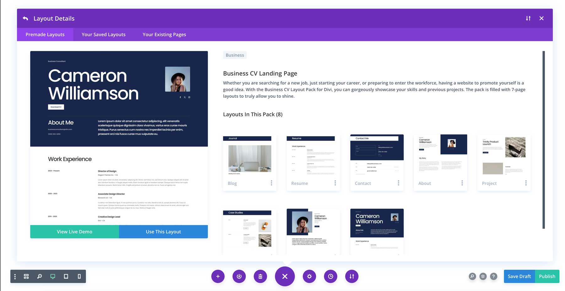 Business CV Layout Pack for Divi