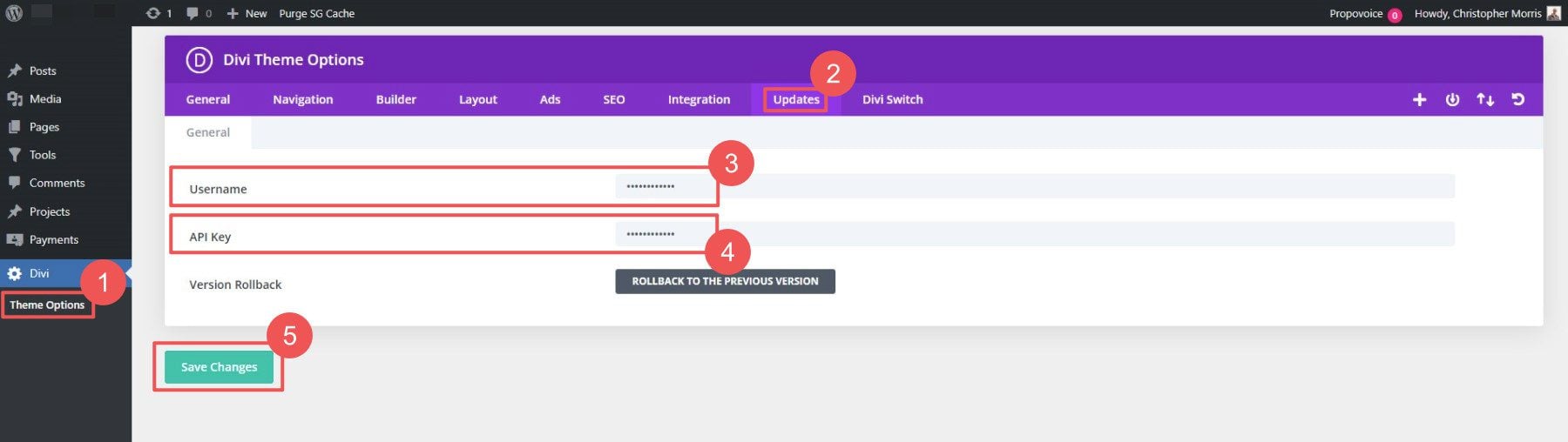 Divi Paste UN and API into Updates Panel