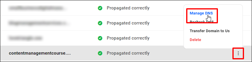 The Hub - Domains - Registered domains - Manage DNS option selected.