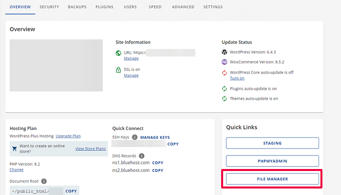 Bluehost File Manager button