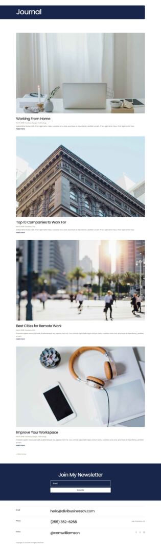 Business CV Layout Pack for Divi