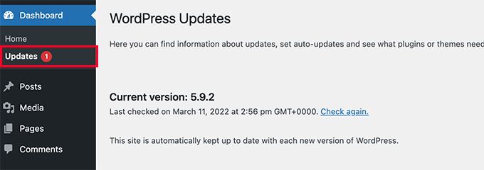 Install WordPress updates