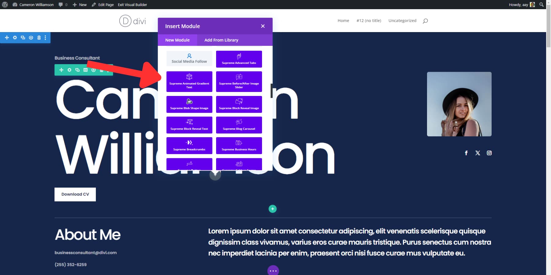 A screenshot of Divi Supreme Pro's modules