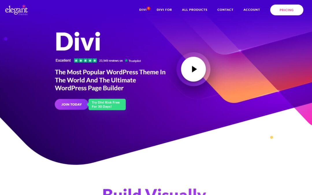 Divi vs Enfold: Which WordPress Theme is Higher? (2024)