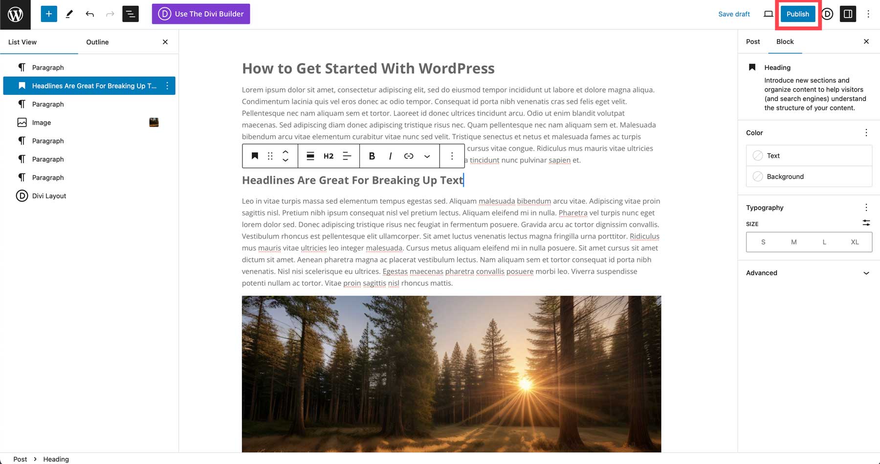 publish WordPress post