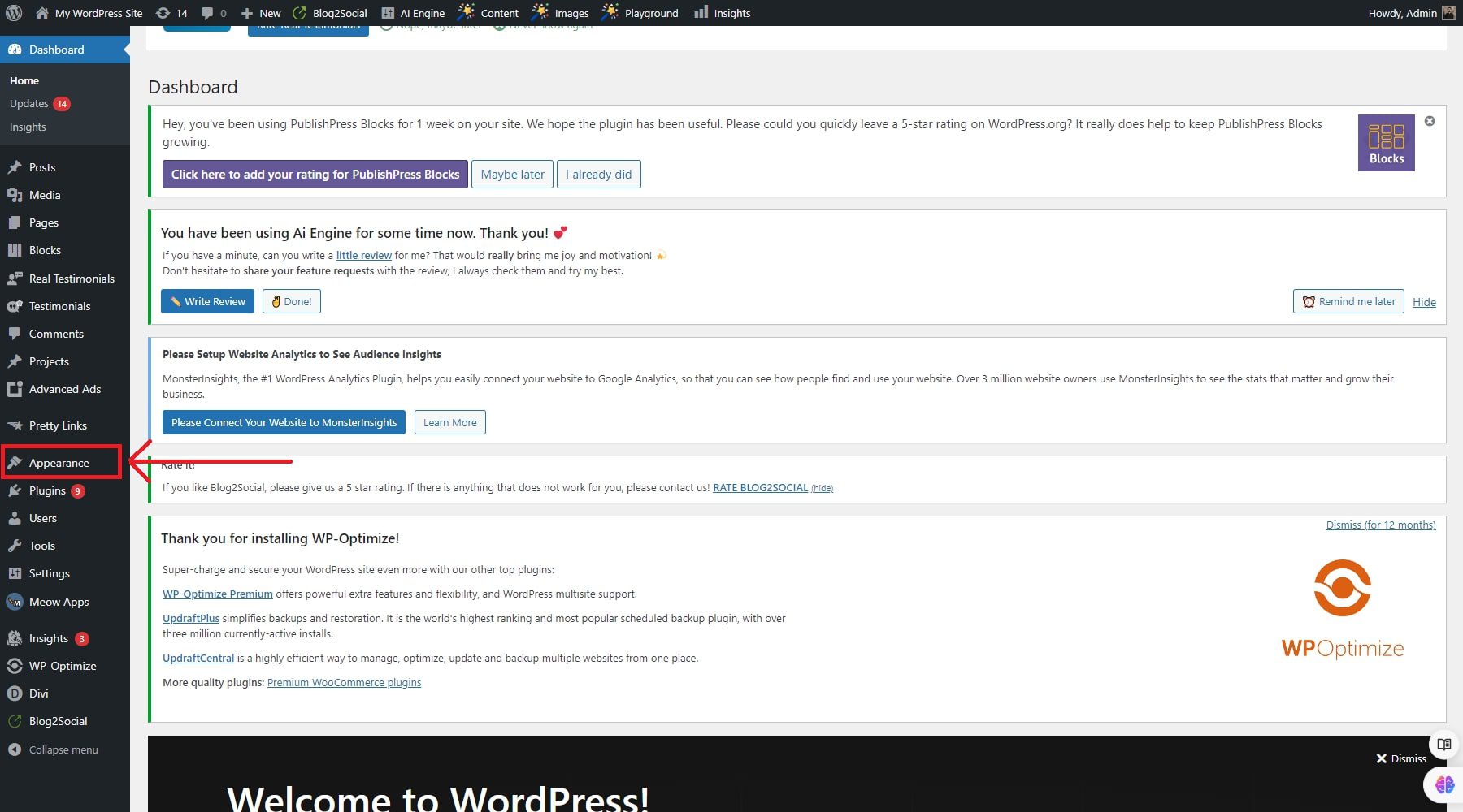 wordpress theme appearance