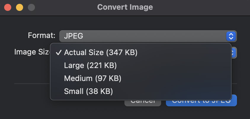 Conversion options for image